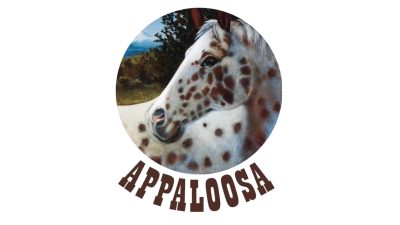 Appaloosa